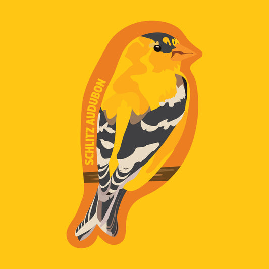 American Goldfinch Sticker