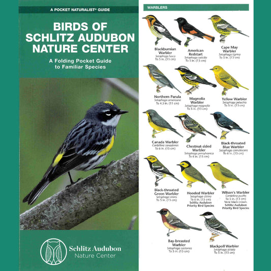 Birds of Schlitz Audubon Nature Center Guide