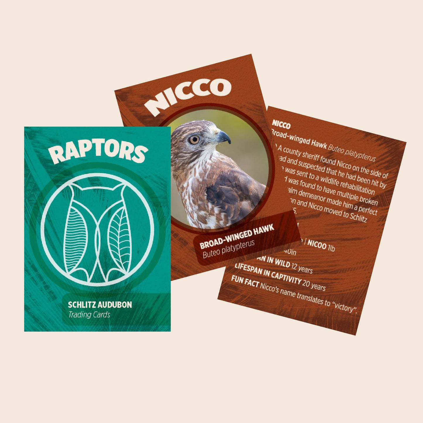 Raptor Trading Card Pack