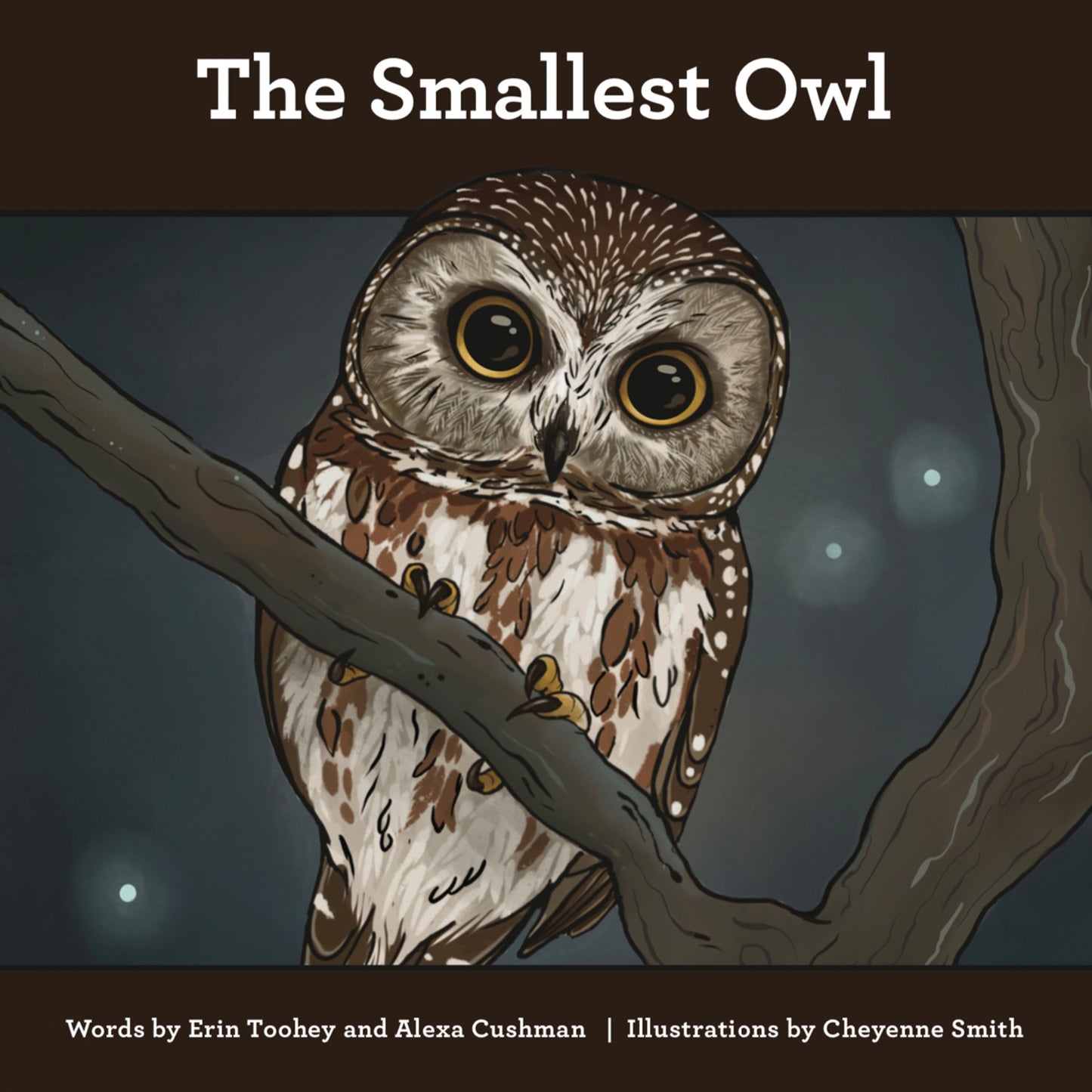 The Smallest Owl